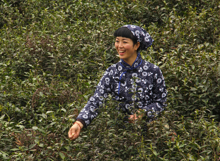 百丽热门7